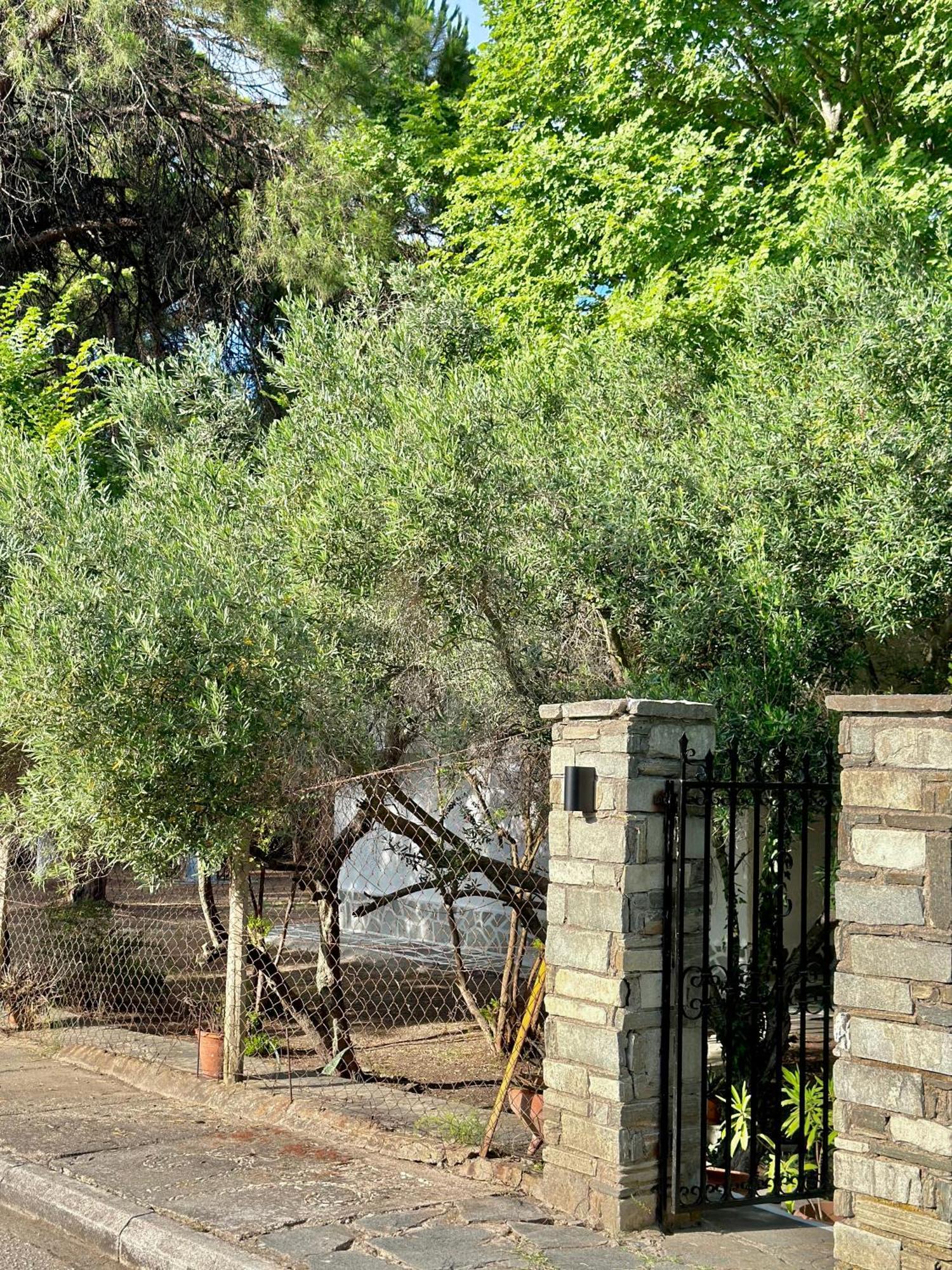 Villa Ethel Vourvourou Exterior foto